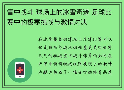 雪中战斗 球场上的冰雪奇迹 足球比赛中的极寒挑战与激情对决