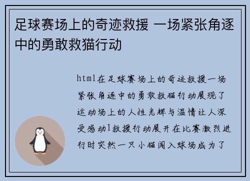 足球赛场上的奇迹救援 一场紧张角逐中的勇敢救猫行动