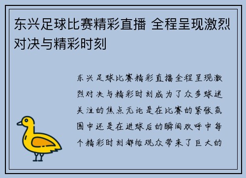 东兴足球比赛精彩直播 全程呈现激烈对决与精彩时刻