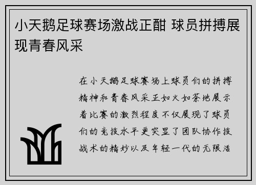 小天鹅足球赛场激战正酣 球员拼搏展现青春风采