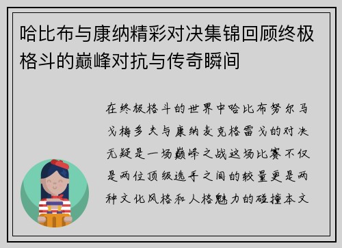 哈比布与康纳精彩对决集锦回顾终极格斗的巅峰对抗与传奇瞬间