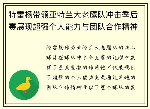 特雷杨带领亚特兰大老鹰队冲击季后赛展现超强个人能力与团队合作精神