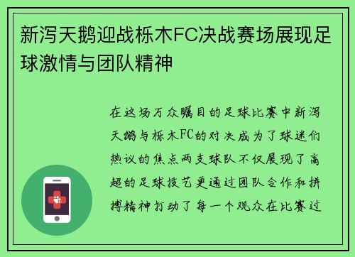 新泻天鹅迎战栎木FC决战赛场展现足球激情与团队精神