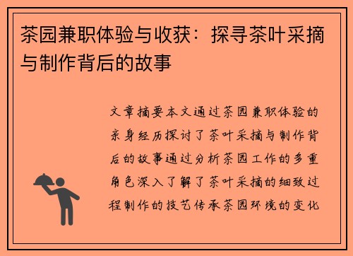 茶园兼职体验与收获：探寻茶叶采摘与制作背后的故事