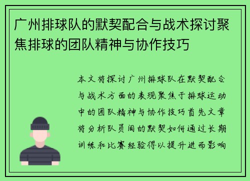 广州排球队的默契配合与战术探讨聚焦排球的团队精神与协作技巧