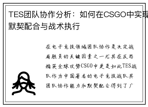 TES团队协作分析：如何在CSGO中实现默契配合与战术执行